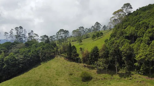 Vendo Permuto Finca Líbano Tolima