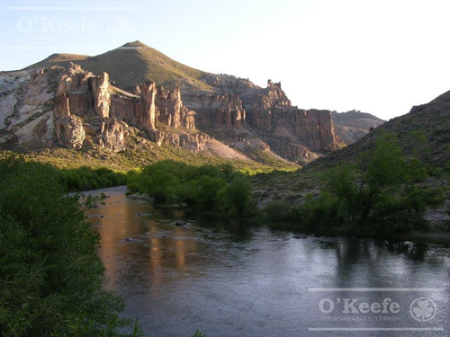 Campo En Venta De 635 Has Bariloche, Costa Del Pichileufu, Rio Negro.