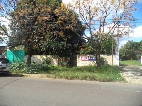 Imagem 3 de 6 de Terreno Para Venda - 90173.002