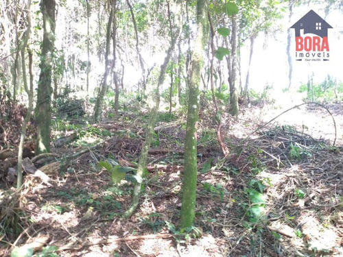 Terreno À Venda, 2170 M² Por R$ 130.000,00 - Parque Germânia - Mairiporã/sp - Te0346
