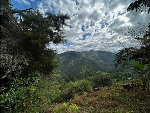 Se Vende Finca En Barragán