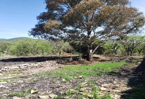 Terreno En Venta En Pie De Gallo