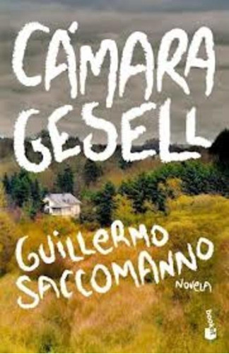 Cámara Gesell Guillermo Saccomanno Editorial Booket 