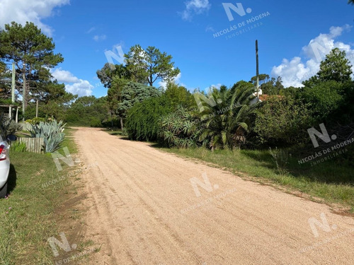 Imagen 4 de 8 de Tío Tom A 500 Mts. Del Mar - Punta Ballena Tio Tom