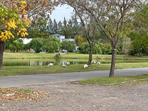 Barrio El Canton