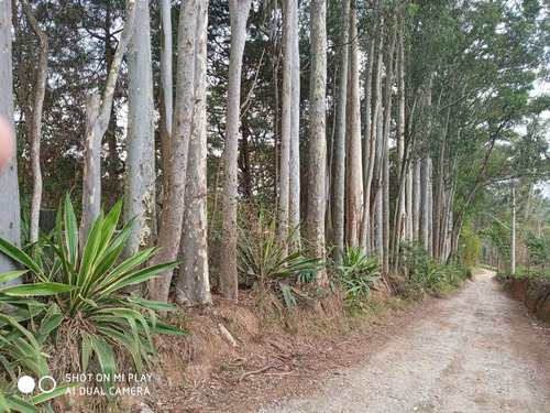 Imagem 2 de 5 de Terreno, Suru, Santana De Parnaíba - R$ 7.39 Mi, Cod: 235481 - V235481