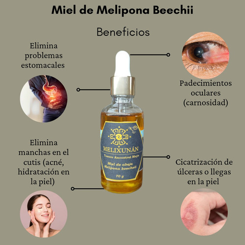 Miel Melipona Beecheii (gotero 70g)