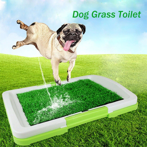 Tapete Grama Artificial Para Perros Cachorros 47 Cm