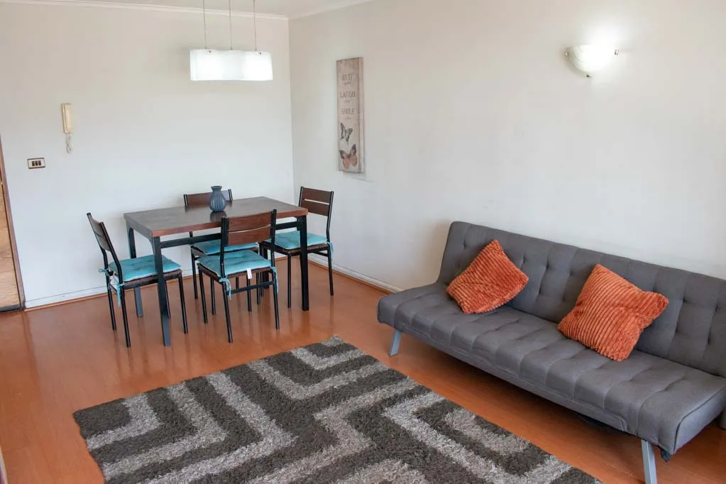 Imagen 1 de 29 de Arriendo Depto Amoblado 2 Habitaciones - Providencia (3449)