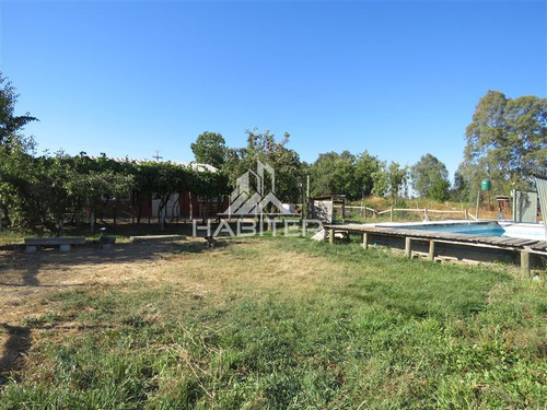 Imagen 15 de 24 de Agrícola En Venta En Maule