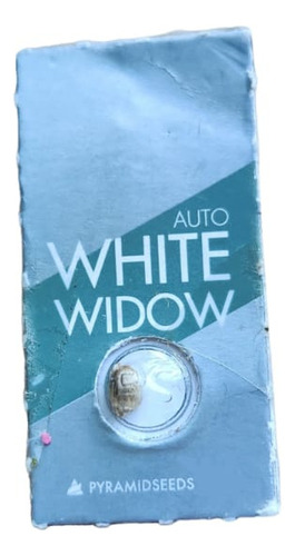 Semilla De Colección White Widow Auto X1 - Pyramid Seed