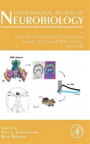 Structure To Function Of G Protein-gated Inwardly Rectifying (girk) Channels: Volume 123, De Paul A. Slesinger., Vol. 125. Editorial Elsevier Science Publishing Co Inc, Tapa Dura En Inglés