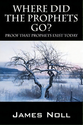 Where Did The Prophets Go?, De James Noll. Editorial Outskirts Press, Tapa Blanda En Inglés