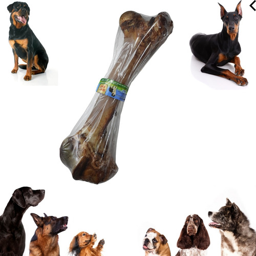 2 Osso De Fêmur Bovino Premium Para Cães Grandes Dip Dog