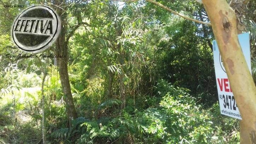 Terreno 448m²- Castel Novo- Guaratuba Pr - 996t