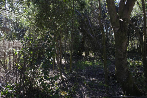 Imagen 9 de 17 de Venta Lote De 1005 M2 En Las Balsas, Villa La Angostura - L73e