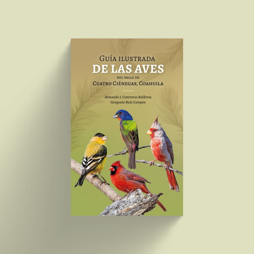 Guía Ilustrada De Las Aves Del Valle De Cuatro Ciénegas