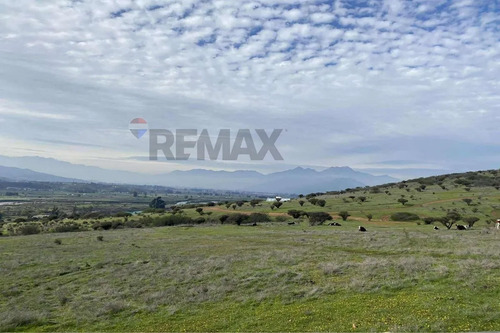 Oportunidad: 5.000 M² Planos En Limache