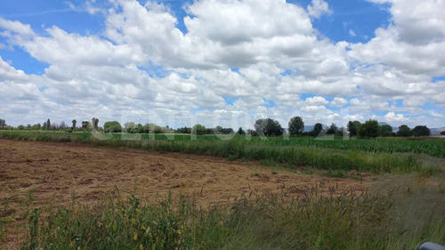 Terreno Rustico En Venta En Rincon De Romos
