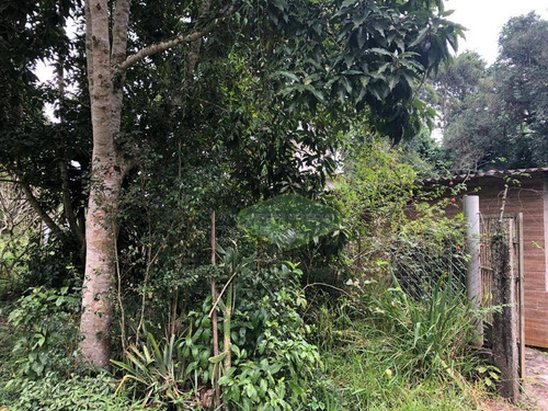 Imagem 14 de 30 de Terreno À Venda, 30000 M² Por R$ 3.698.000,00 - Cipó Do Meio - São Paulo/sp - Te0059