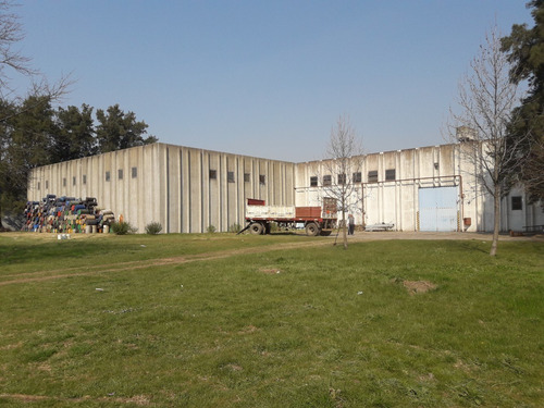 Imagen 4 de 5 de Deposito De 2000 M2 Sobre 7.000 M2 De Terreno.