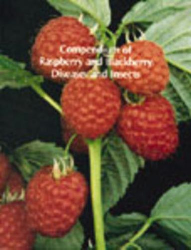 Compendium Of Raspberry And Blackberry Diseases And Insects