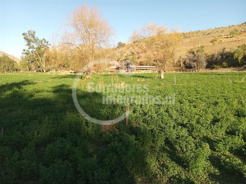Agrícola En Venta En Combarbalá