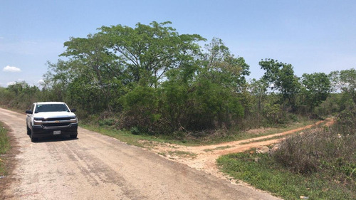 Imagen 8 de 12 de Rancho En Venta Sotuta Yucatan, Compralo A 18 Meses Sin Intereses.