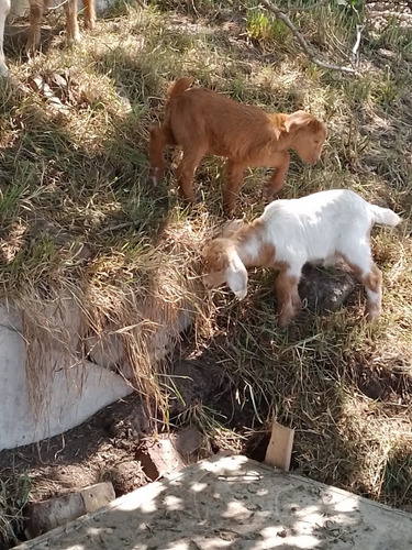 Lote En Barrio Cerrado La Reserva Del Oeste | Naturaleza, Seguridad Y Amenities