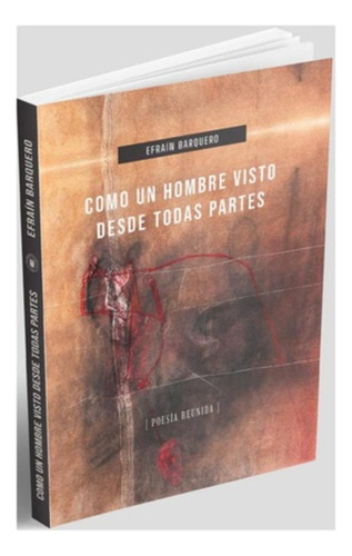 Como Un Hombre Visto Desde Todas Partes:  Aplica, De Barquero, Efrain. Editorial Universidad Catolica Del Maule, Tapa Blanda En Español