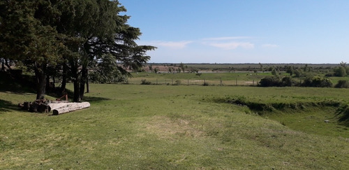 Imagen 4 de 14 de Cabaña En San Pedro Provincia. Cabaña De Troncos Frente Al Rio Parana.