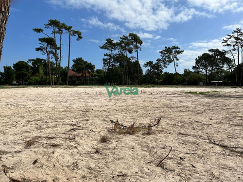 Imagen 2 de 9 de Venta De Terrenos En Salinas Sur