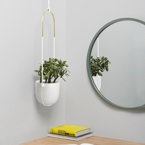 Maceta Bolo para colgar en pared o techo, Umbra