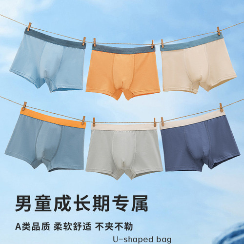 Calzoncillos Deportivos De Algodón Puro De Color Liso Para N