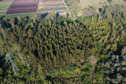 Campo En Venta 9 Hectareas
