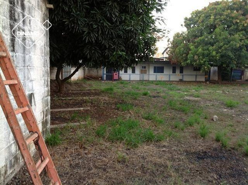 Galpão Comercial À Venda, Tanquinho, Ribeirão Preto. - Ga0055