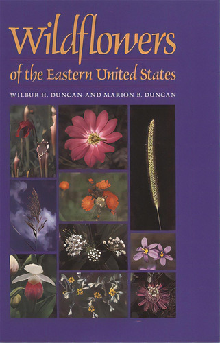 Wildflowers Of The Eastern United States, De Duncan, Wilbur H.. Editorial Univ Of Georgia Pr, Tapa Blanda En Inglés