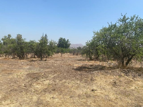 Terreno Polo Manquehue Iv. Plano Con Hermosa Vista.