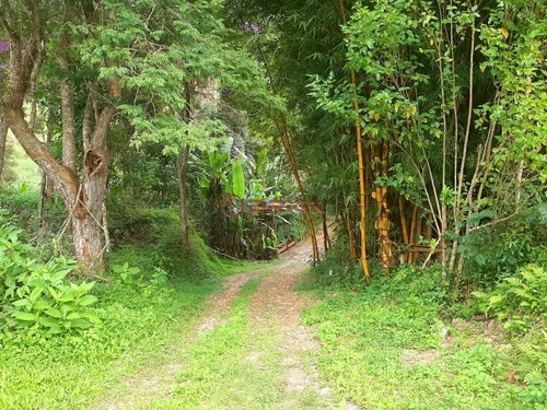 Imagem 12 de 23 de Propriedade Com 120 Mil M² De Área Em Teresópolis. - St00188 - 69390058
