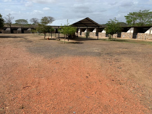 Imagen 6 de 8 de En Venta Caballeriza. En Guárico. Ve03-532-mros