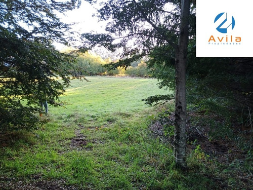 Pucón Huife Parcela 5.000m2 Condominio Trufulco Cod.vtap104