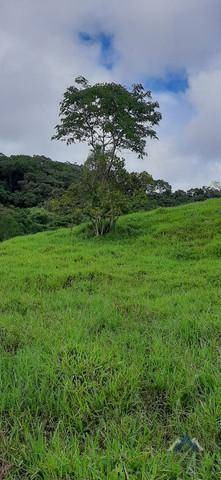 Imagem 2 de 17 de Sítio À Venda, 240000 M² Por R$ 700.000,00 - Centro - Sapopema/pr - Si0011