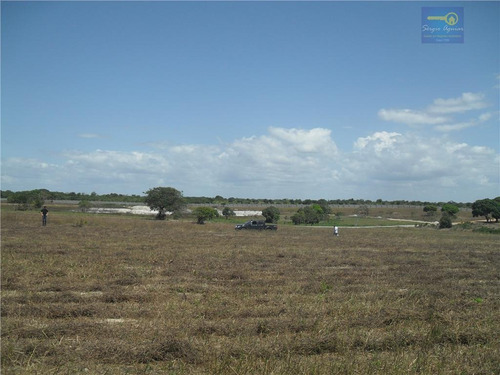 Imagem 24 de 30 de Terreno Residencial À Venda, Sede, Aquiraz. - Codigo: Te0015 - Te0015
