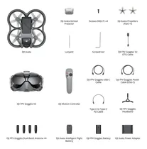 Comprar Dji Avata Fly Smart Combo (dji Fpv Goggles V2) - First-perso
