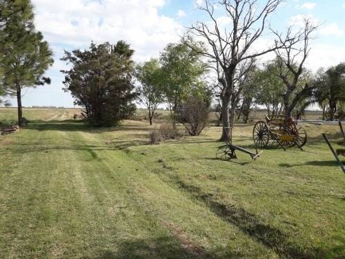 En Venta Campo En Leones.