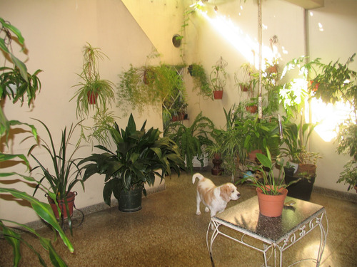 Vivienda Adaptada Para Dos Familias