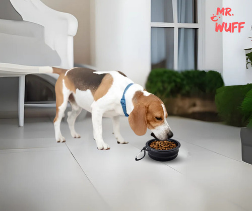 Plato Comedero Para Perro Plegable 155g Mr Wuff Color Negro