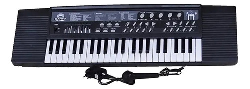 Teclado Piano Organo 5 Octavas Usb Mp3 Aux Pawer Bank