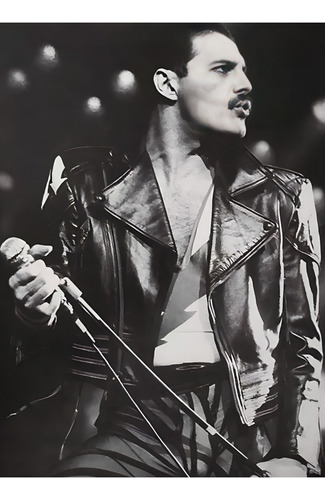 Póster Freddie Mercury Queen Autoadhesivo 60x42cm #285