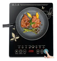 Comprar Parrilla Eléctrica De Inducción Magnética 8 Tipos De Cocción